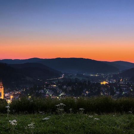 Drei Tannen - Wohnung 12 - Apartmenthaus, Titisee, Nahe Badeparadies Eksteriør bilde