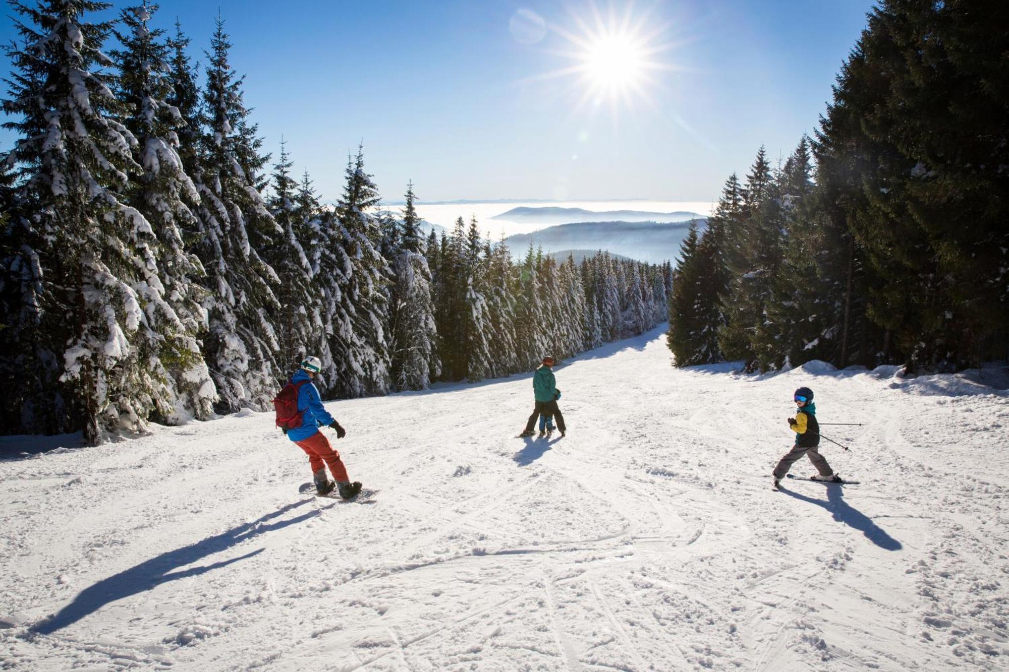 Drei Tannen - Wohnung 12 - Apartmenthaus, Titisee, Nahe Badeparadies Eksteriør bilde
