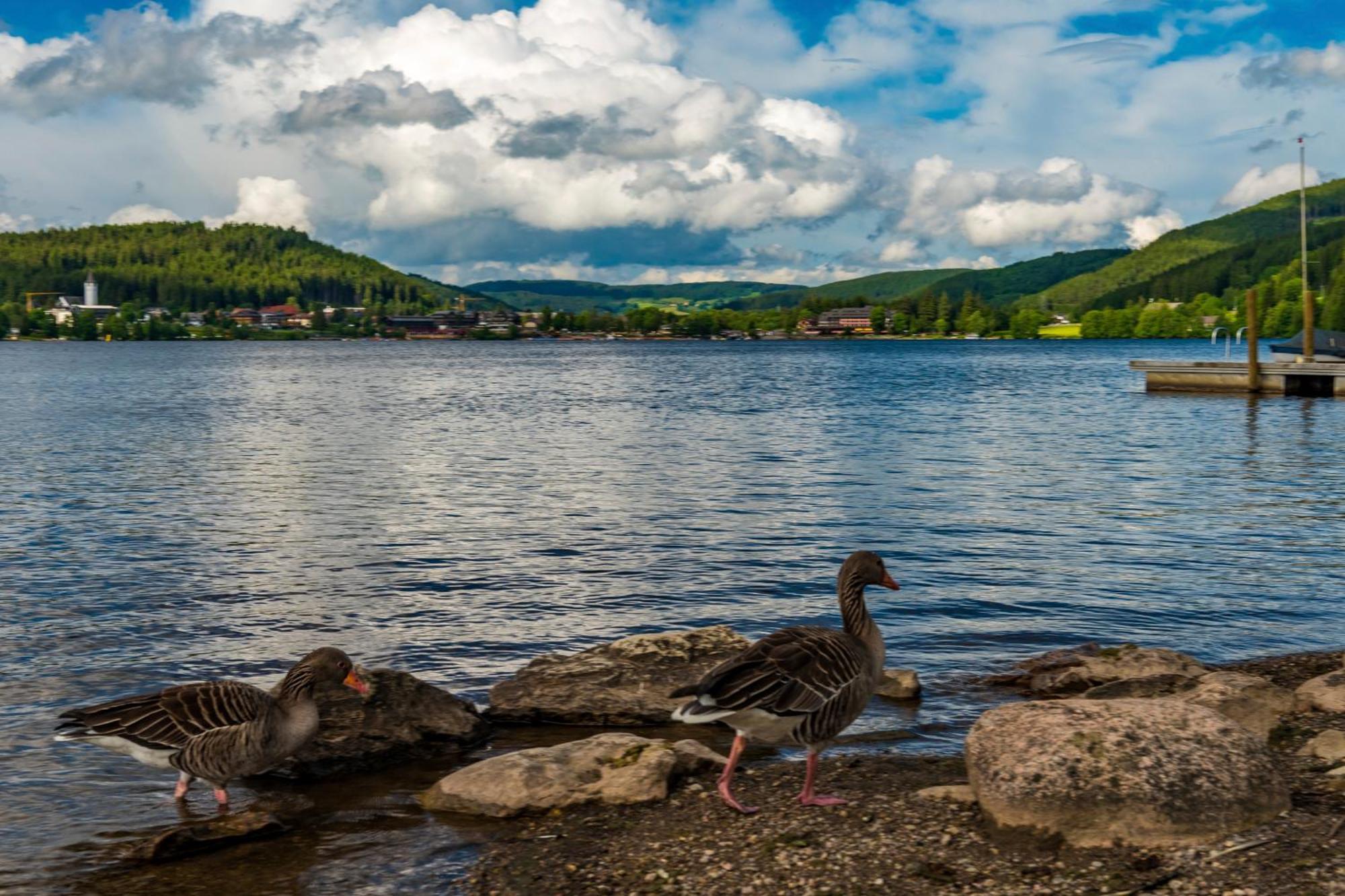 Drei Tannen - Wohnung 12 - Apartmenthaus, Titisee, Nahe Badeparadies Eksteriør bilde