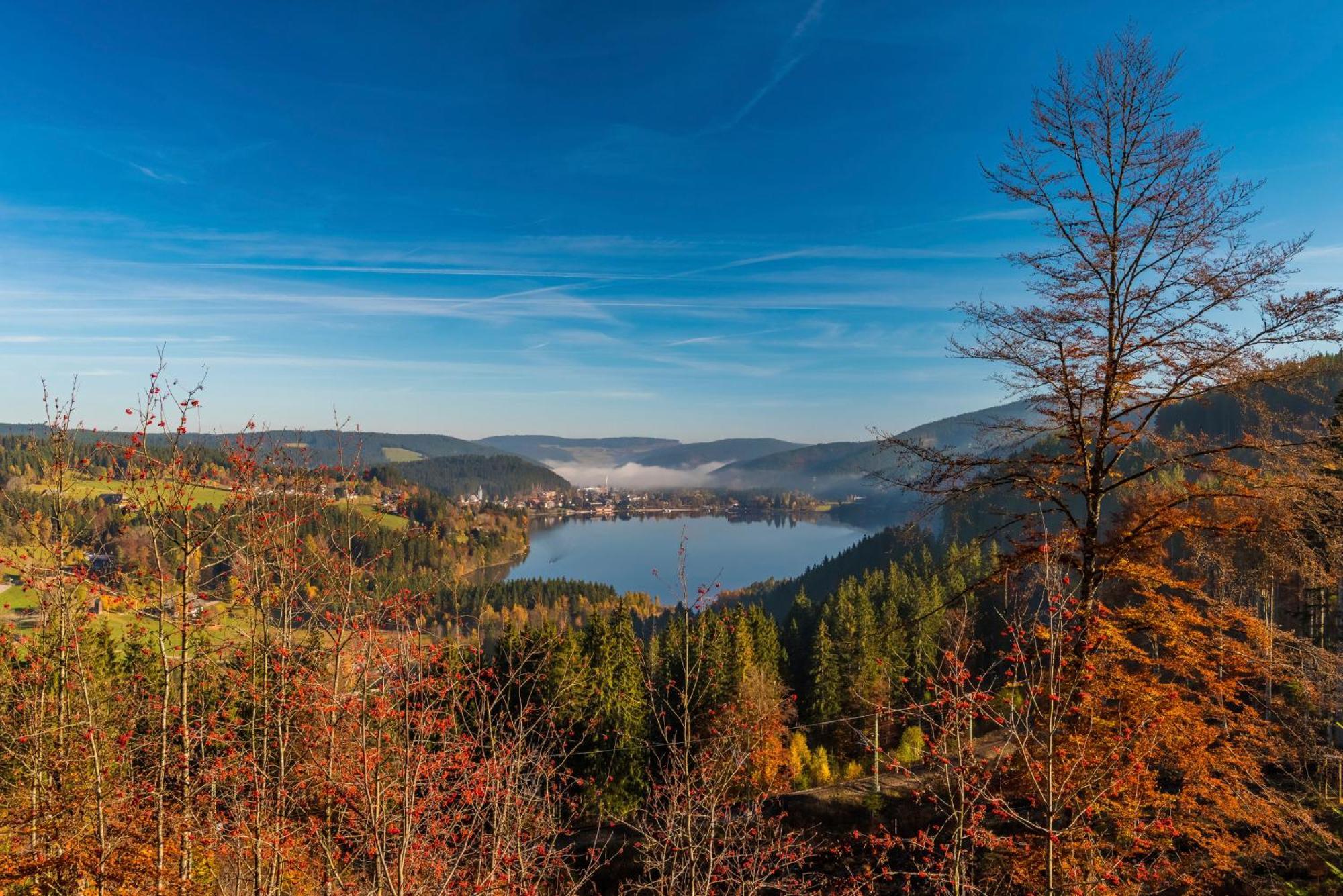 Drei Tannen - Wohnung 12 - Apartmenthaus, Titisee, Nahe Badeparadies Eksteriør bilde